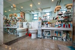 Water Place (D15), Condominium #456611791